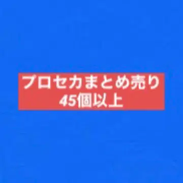 프로세카 묶음 판매