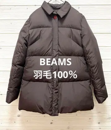 Ray BEAMS 다운 자켓