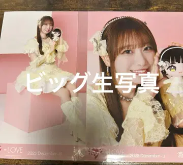 타키와키 쇼코 빅 브로마이드 모리 판타지 콜라보 3