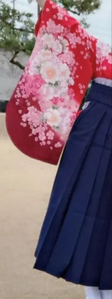 하카마 3종 세트 초등학생/전문 학생/대학생 졸업식용