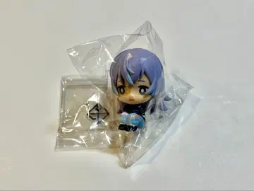 니지콧토 별도 쇼 A