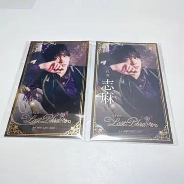 우라시마사카타센 시마 명함풍 카드