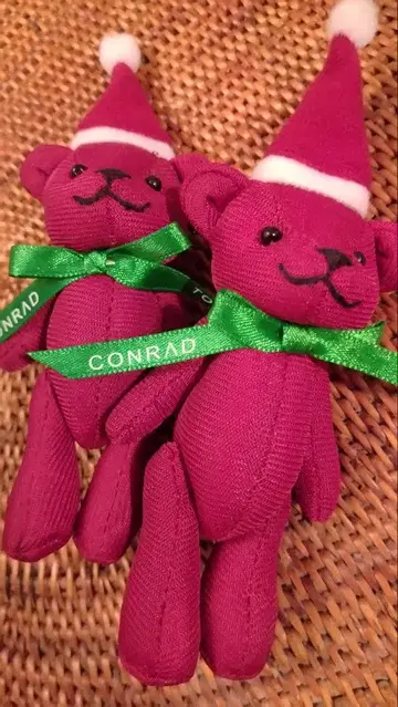 콘라드 베어 2025 크리스마스 2개 페어