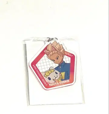 이나즈마 일레븐 고엔지 난자타운 키링