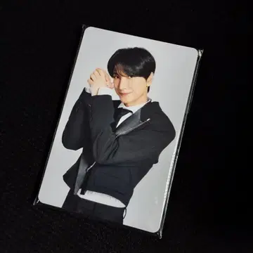 SUPER JUNIOR 스파쇼 12/14 업그레이드 트레이딩 카드 세트