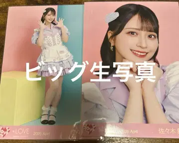 사사키 마이카 빅 브로마이드 다이너 의상 요리히키