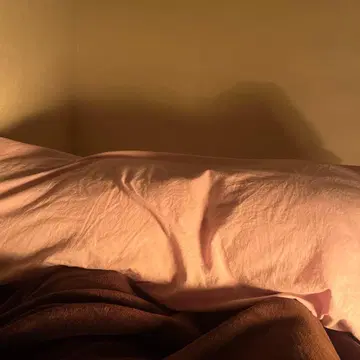 핑크 코튼 반팔 원피스