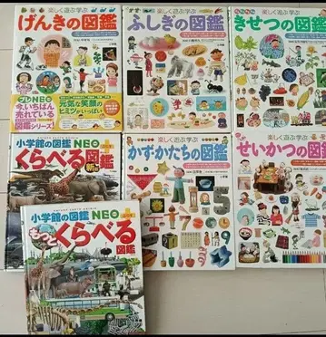 소학관 어린이 도감 프레 NEO 7권 계절 도감 생활 도감 묶음