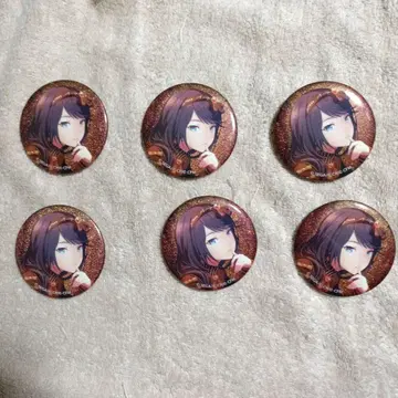 호시노 이치카 캔뱃지 6개 세트
