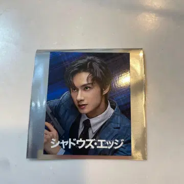 쉐도우즈 엣지 입장자 특전 비주얼 카드 준 SEVENTEEN