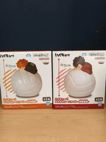 하이큐!! 스야스야 룸 라이트