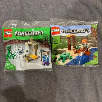 LEGO Minecraft 2종 세트
