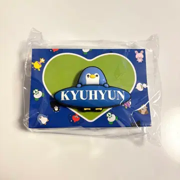 팬 라이트 액세서리 규현