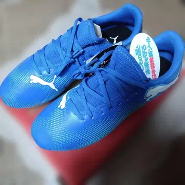 Puma 축구화 파란색 22.5cm