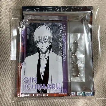 BLEACH 도미노풍 아크릴 키링 컬렉션 이치마루 긴