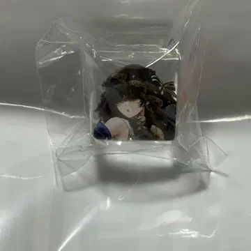 컴퍼스 페스티벌 캡슐 아크릴 큐브 메루냐