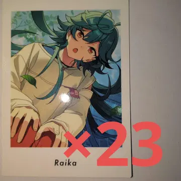 앙스타 파샤츠 라이카