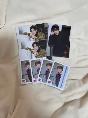 Snow Man 메구로 렌 미니 사진 사진 세트