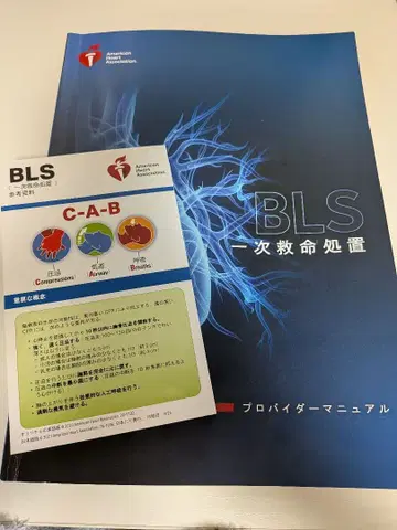 BLS 일차 생명 유지술 프로바이더 매뉴얼 2020년판