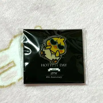 2PM 10주년 2018 핀 배지 핀 배지 Pi Young 우영