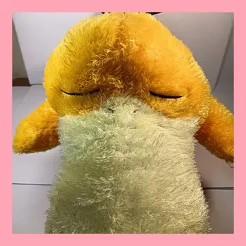 [택 포함] 포켓몬 메챠모후굿토쿠츠로기타임 봉제 인형 코닥