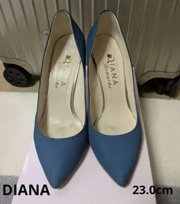 DIANA 스웨이드 스틸레토 하이힐