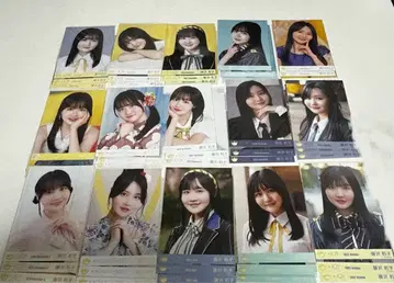 후지사와 리코 묶음 판매