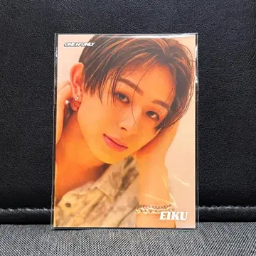ONE N' ONLY EIKU 트레이딩 카드