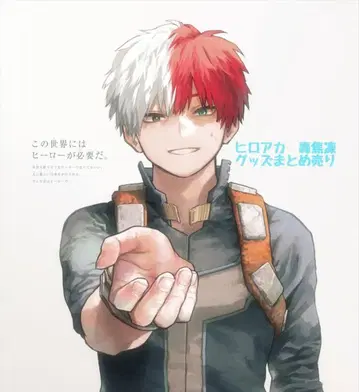 히로아카 토도로키 쇼토 묶음 판매 즉시 구매