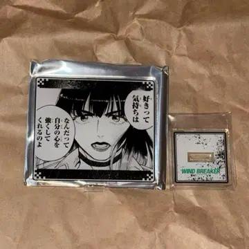 WIND BREAKER 츠바키노 유 아크릴 스탠드