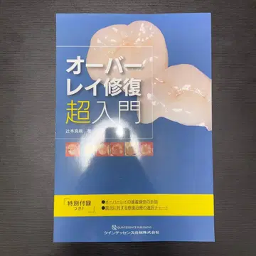 오버레이 복원 초입문