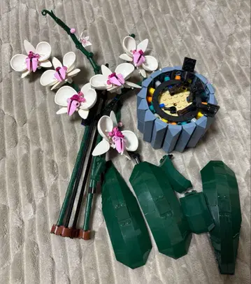 LEGO 팔레놉시스 Botanical Collection 오키드 (꽃)