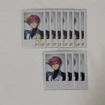 니지산지 스프레아 황 레오 폴라로이드