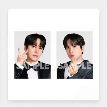 규현 랜덤 토이 프로필 사진