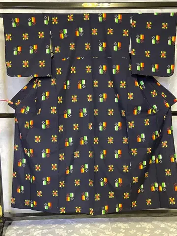 기모노와 겉옷 앙상블