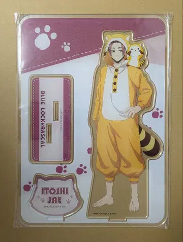 블루 록 x RASCAL BIG 아크릴 스탠드 이토시 사에