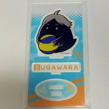 하이큐!! 아크릴 스탠드 스가카라스 스가와라 코시