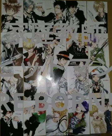 아마노 아키 가정교사 히트맨 REBORN! 전 21권분 부록 엽서 21장