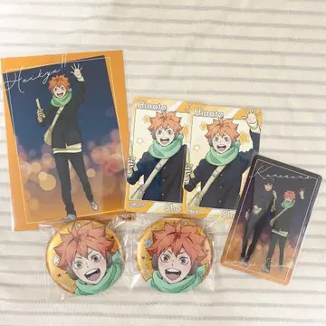 하이큐!! 코스모 월드 히나타 쇼요