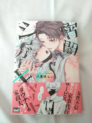 초저녁 슈가 캣