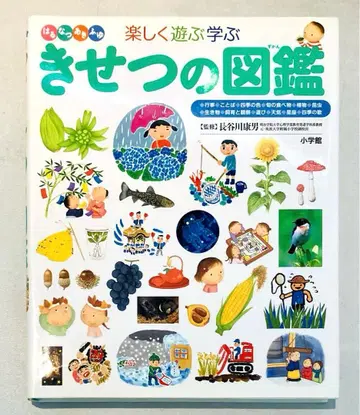 계절 도감 : 봄 여름 가을 겨울 즐겁게 놀고 배우기