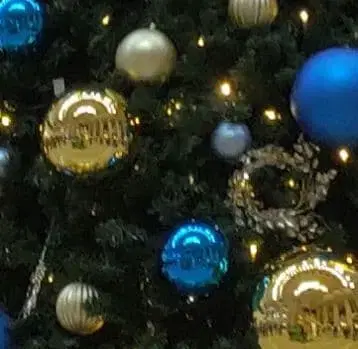 agnes b. 에네스베 핸드백 캔버스 가죽