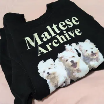 Wai Kei Maltese Archive 맨투맨