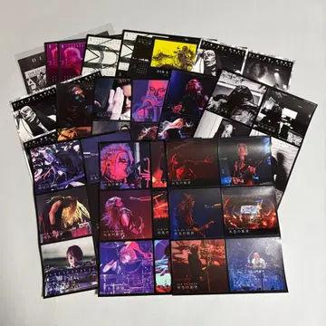 DIR EN GREY 스티커 [ a knot ]