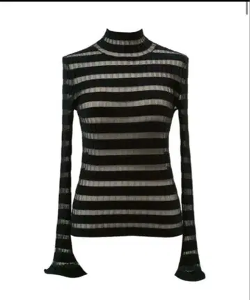 cygne 시뉴 시어 보더 터틀 BLACK