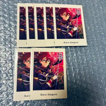 앙스타 파샤츠 사에구사 이바라