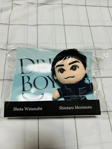 봉제 인형 모리모토 신타로 드림보이