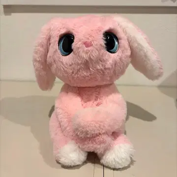 꽉 안아줘! 심쿵! 토끼