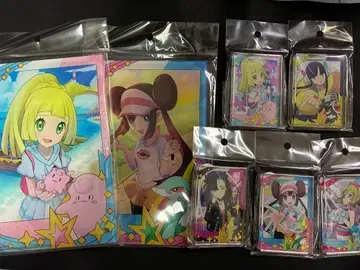 포켓몬 마스터즈 메모리얼 사진 아크릴 아트 패널 미니 아크릴 블록