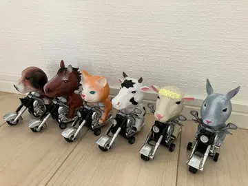 애니멀 라이더 6종 세트